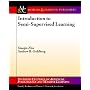 Introduction to Semi-Supervised Learning (Synthesis Lectures on Artificial Intelligence and Machine Learning)
