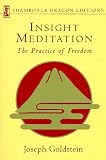 Insight Meditation (Shambhala Dragon Editions)