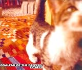 CAT EP2