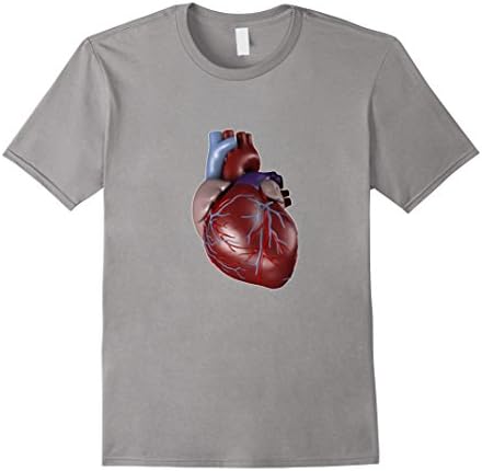 Men's Heart Anatomy Diagram Anatomical T-Shirt Small Slate