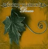 CD Cover