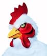Supreme Animal Chicken Costume Mask - Adult Std.