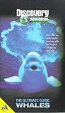 Review Ilc Entertainment  / Discovery Channel - The Ultimate Guide: Whales [1997]