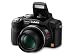 Panasonic  Lumix DMC-FZ28K 10MP Digital Camera with 18x Wide Angle MEGA Optical Image Stabilized Zoom (Black)