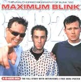 Maximum Blink 182: Interview