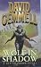 Wolf in Shadow (Jon Shannow Novel)