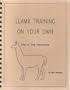 Llama Training on Your Own: Step-By-Step Instructions