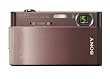 Sony Cyber-shot DSC-T900 12 MP Digital Camera with 4x Optical Zoom and Super Steady Shot Image Stabilization (Bronze)