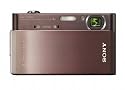Sony Cyber-shot DSC-T900 12 MP Digital Camera with 4x Optical Zoom and Super Steady Shot Image Stabilization (Bronze)