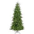 6' x 39" Slim Tiffany Spruce 300CL
