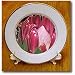 Tropical Pink Protea Flower- Hawaiian- Nature Photography - 8 Inch Porcelain Plate