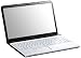 Sony Vaio