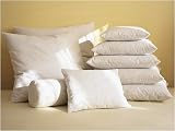 White Feather/Down Pillow Forms