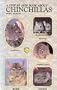 A Step by Step Book about Chinchillas