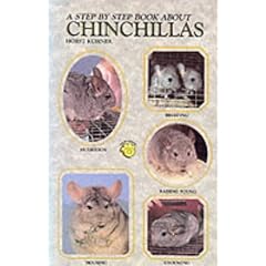 A Step by Step Book about Chinchillas