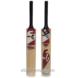 SG Reliant Plus Kashmir Willow Cricket Bat