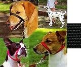 Gentle Leader Head Collar - Large - Black