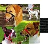 Gentle Leader Head Collar - Medium - Black