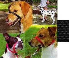 Childrens Toyshop  Pet Supplies : Gentle Leader Head Collar - Large - Black