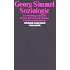 Gesamtausgabe in 24 B�nden: Band 11: Soziologie. Untersuchungen �ber die Formen der Vergesellschaftung: BD 11 (suhrkamp taschenbuch wissenschaft)