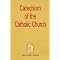 Paladins: Living Fidelity to Christ & His Church