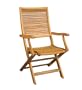 Tensen PS02C-37B/2 Balau Wood Ohio Folding Arm Chair (set of 2)