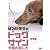 はるか先生のドッグサイン ~犬語の話し方~ Vol.1 表情編 [DVD]