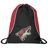 NHL Phoenix Coyotes Axis Backsack