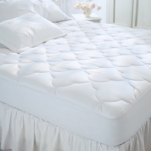 Pacific Coast Egyptian Cotton Nights Queen