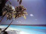 Empire 16263 Beaches of Dreams, Poster ca. 91,5 x 61 cm