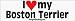 boston terrier - I Love My Boston Terrier - bumper stickers (Large)