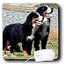 Dogs Bernese Mountain Dog - Bernese Mountain Dog - Mouse Pads