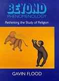 Beyond Phenomenology: Rethinking the Study of Religion (Cassell Religious Studies): Rethinking the Study of Religion (Cassell religious studies)