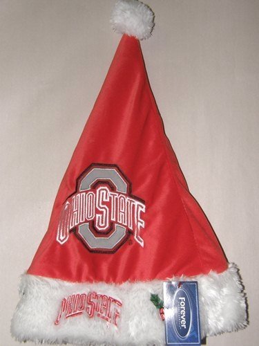 Ohio State Buckeyes 2011 Colorblock Runoff Plush Santa Hat