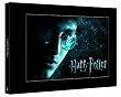 Harry Potter 1 - 6 Album (12 Discs inkl. Platzhalter f�r HP 7.1 und 7.2)