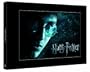 Harry Potter 1 - 6 Album (12 Discs inkl. Platzhalter f�r HP 7.1 und 7.2)