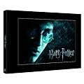 Harry Potter 1 - 6 Album (12 Discs inkl. Platzhalter f�r HP 7.1 und 7.2) [Limited Edition]
