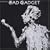 The  Best of Fad Gadget