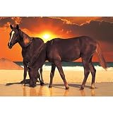 Sunset on the Beach 1,000-pc. Puzzle