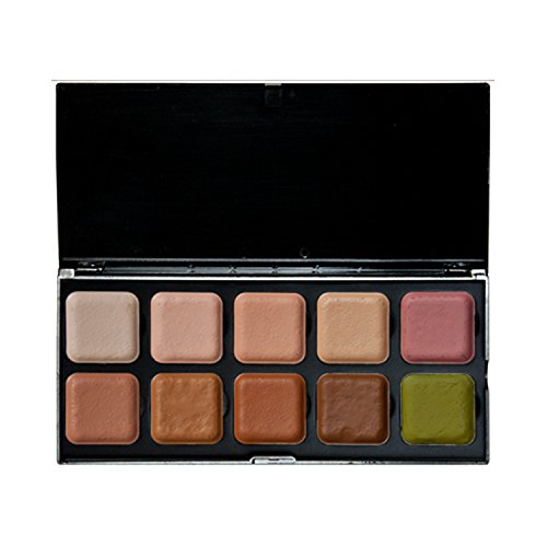 Encore Alcohol Activated Palette (Skin Cover Up)