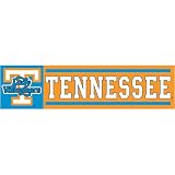 Tennessee Volunteers NCAA Applique & Embroidered Party Banner (96x24) Lady Vols