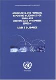 Accounting And Financial Reporting Guidelines For Small And Medium-sized Enterprises (smega)