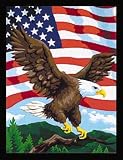  : Paint-by-Number, Eagle of Freedom
