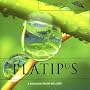 Platipus Records, Vol. 4