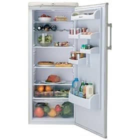 Hotpoint Future Fridge RLA54P
