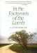 In the Footprints of the Lamb by G. Steinberger