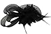 Coolr Women's Fascinators Hat Small Hairpin Feather Mesh Flower Hairclip (Black)