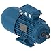 WEG Electric 00736ET3EBM213T-W22, 7.5HP, 3600 RPM, 3PH, 230V/460V, 213/5T Frame, Standard Flange, Foot Mount, TEFC, Brake Motor