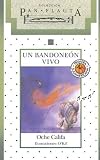 Pf-un Bandoneon Vivo
