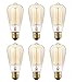Rolay 6 Pack, 25 Watt Vintage Edison Light Bulb with Squirrel Cage Filament, 110~130 Volts, E26 Base